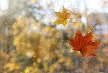 Дожди и снег охватят большинство регионов Казахстана