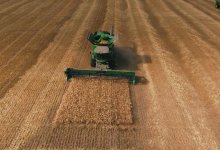 В Акмолинской области собрали 6,6 млн тонн зерна