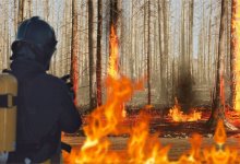 Масштабный природный пожар в Караганде: хронику событий вспомнил спасатель