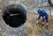 Собаку вызволили из колодца в Темиртау