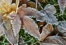 Заморозки, гроза и туман ожидаются в Казахстане 19 октября