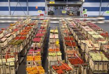 Россия запретит ввозить цветы из Казахстана