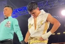 Казахстанский боксер вновь проиграл в профи