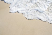 Загадочные шары на пляже Сиднея: ученые раскрыли тайну