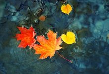 Какой будет погода в мегаполисах Казахстана