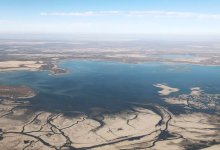 Размер субсидий для аграриев увеличится в Казахстане