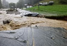 Ураганы принесли во Флориду "плотоядную" бактерию
