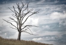 Дождь, туман и ветер ждут Казахстан 26 октября