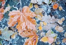 Неустойчивая погода в Казахстане: что ждать в ближайшие дни