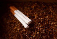 Контрафактную партию табачных изделии пытались вывезти из Казахстана