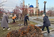 На страже окружающей среды: продолжается акция "Таза бейсенбі" партии AMANAT