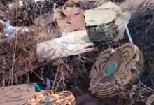 Возбуждено уголовное дело по факту выброшенных на свалку гербов