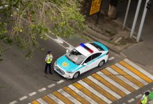 Казахстанца, сбившего полицейских, освободили в зале суда