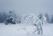 Сильный ветер ожидается в Казахстане 7 ноября