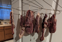 Мясные занавески и крысиные пиры: как необычное соседство превратилось в кошмар