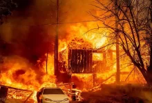 Лесной пожар продолжает бушевать в Калифорнии