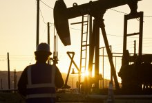 Нефтяники помогли перелетным птицам в Атырауской области (ВИДЕО)