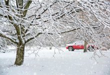 Еще в трех областях Казахстана ограничено движение