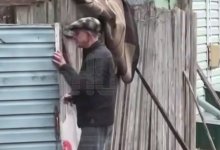 Соседи скопинского маньяка уехали, побросав дома