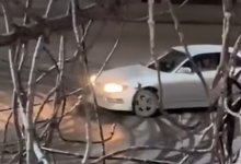 Актюбинец сбил котенка, устроив ночной дрифт (ВИДЕО)