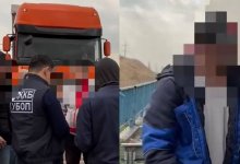 Преступную схему незаконной миграции раскрыли в Туркестанской области