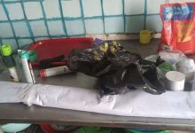 "Лежали на полу в грязных тряпках": появились шокирующие фото из дома, где погибли дети