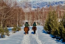 Вслед за "Бурабаем" в Катон-Карагае усилили охрану елей
