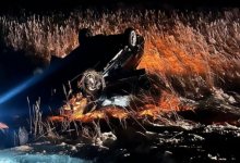 Водитель погиб после столкновения с лошадьми в Павлодарской области