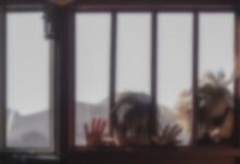 Четверых детей забрали полицейские у женщины из Павлодара