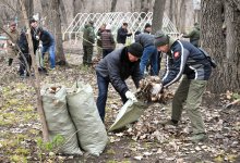 В Алматы в преддверии зимы привели в порядок рощу Баума