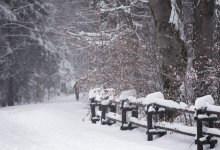 Снег прогнозируют в Алматы