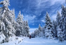 Усиление ветра, сильный снег: что еще ждать казахстанцам в воскресенье