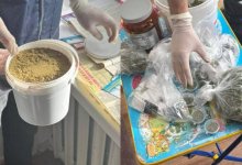 Подозреваемые в организации крупного наркосбыта задержаны в Караганде