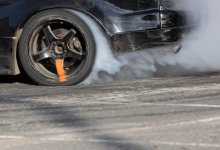 Актюбинец сбил котенка, ему назначили арест