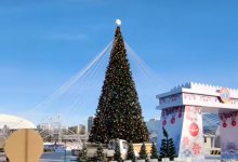 Когда состоится зажжение главной елки Астаны