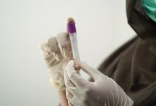 Вспышка свиного гриппа зафиксирована в Актюбинской области