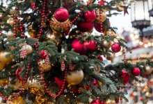 Когда зажгут главную елку Шымкента