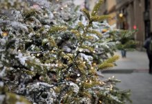 Елка на крыше Hummera привлекла жителей Астаны