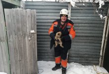 127 тысяч звонков получили спасатели Восточного Казахстана