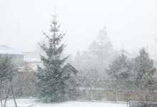 Снег и метель прогнозируют синоптики в Казахстане 27 декабря