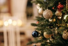 Внук Розы Рымбаевой посетил новогодний утренник