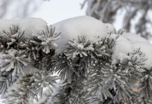 Какой будет погода в Казахстане 31 декабря