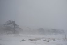 10 часов поисков: казахстанцы застряли в снежном плену (ВИДЕО)