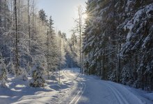 Движение ограничили в двух областях Казахстана