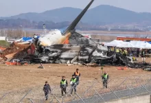 Авиакатастрофа в Южной Корее: появились новые сведения