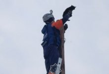 Кота спасли с помощью трехколенной лестницы в Семее