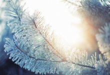 Какую погоду пообещали жителям мегаполисов 18 января