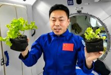 Китайские космонавты впервые выработали кислород в космосе