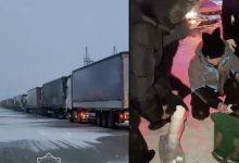 Более 500 автомобилей скопились на трассе Астана – Бурабай