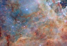 Hubble показал окрестности туманности Тарантул